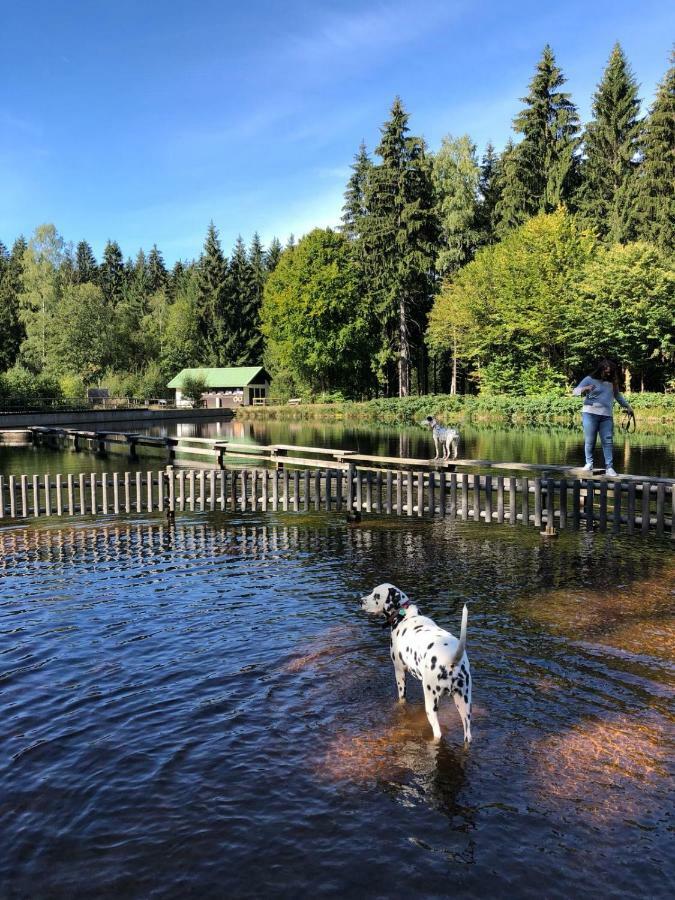 Pension Maddox Warmensteinach Exteriér fotografie